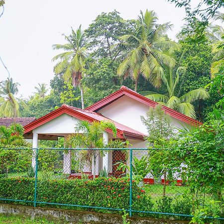 Villa Ravichini Polonnaruwa Exteriér fotografie