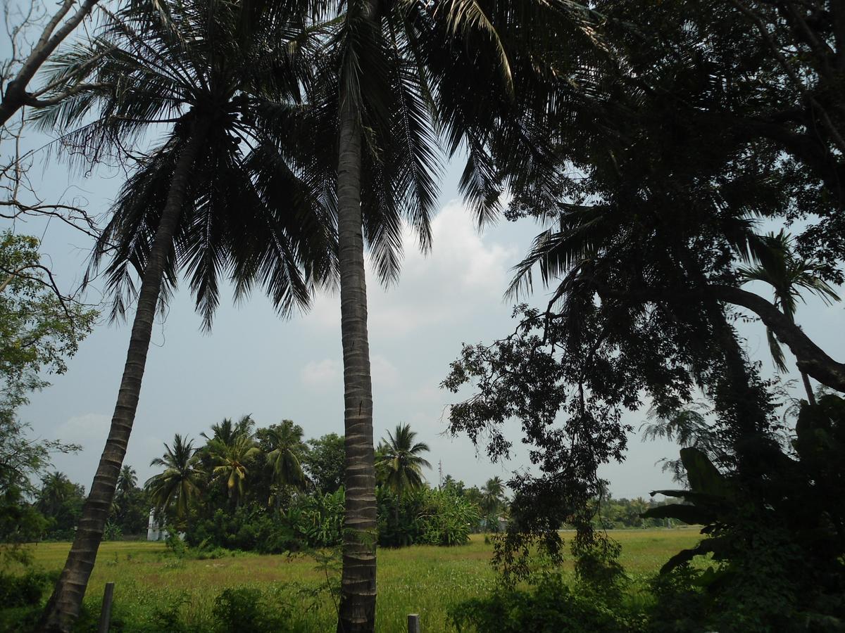 Villa Ravichini Polonnaruwa Exteriér fotografie